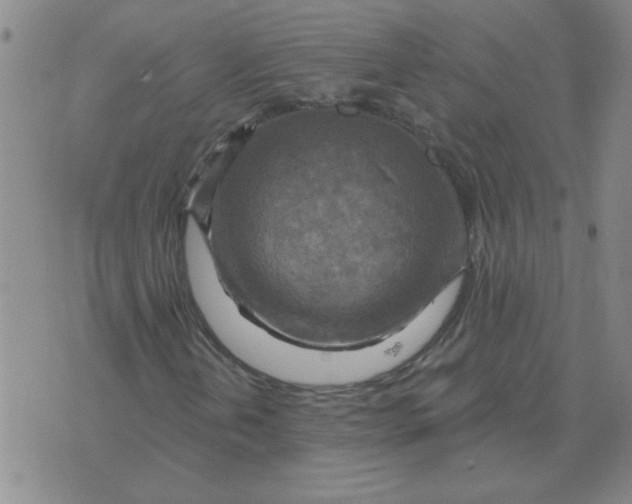 X0000074341202200609152113