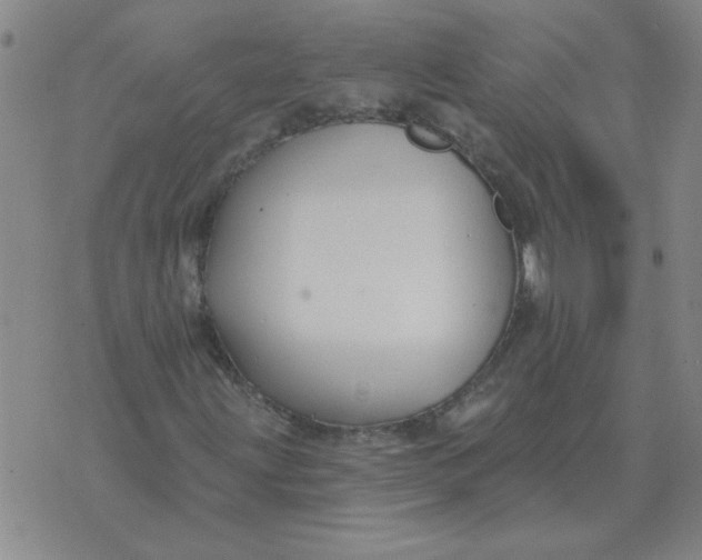 X0000074341203200609152113