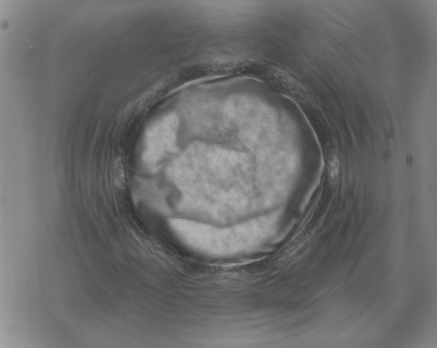 X0000074341204200609152113