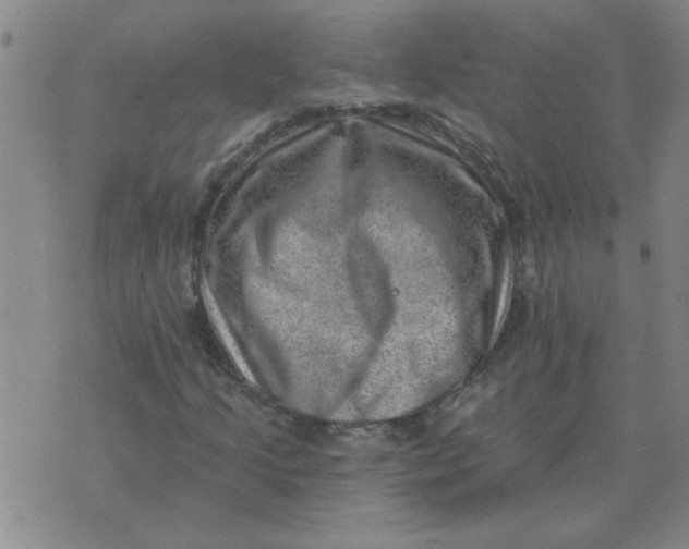 X0000074341205200609152113