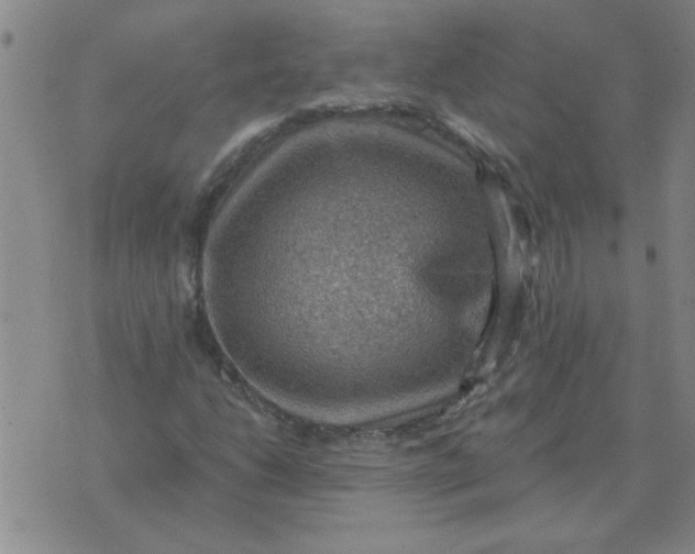 X0000074341206200609152113