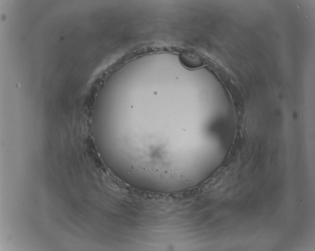 X0000074341207200609152113