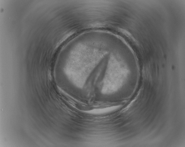 X0000074341209200609152113