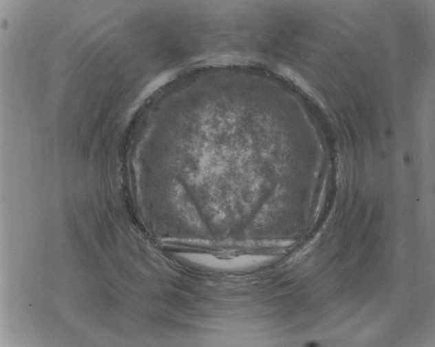 X0000074341213200609152113