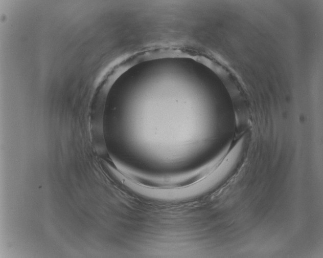 X0000074341214200609152113