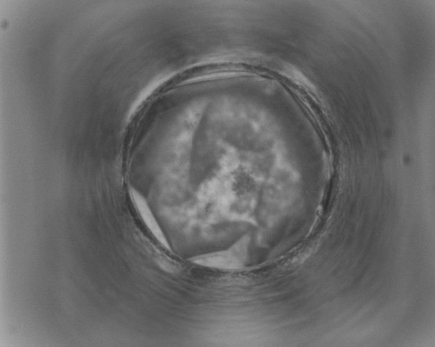 X0000074341216200609152113