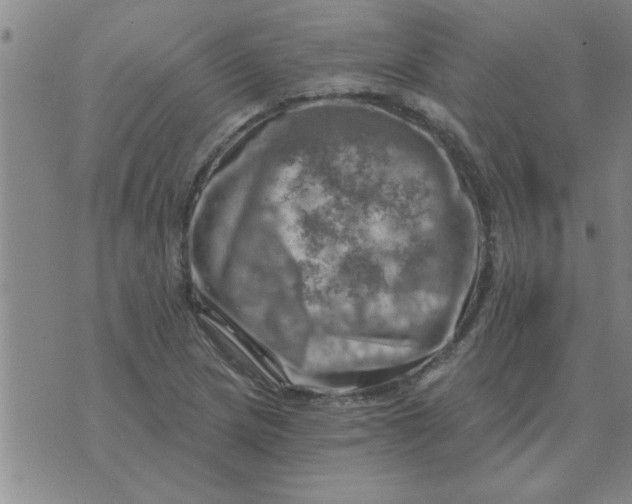 X0000074341217200609152113