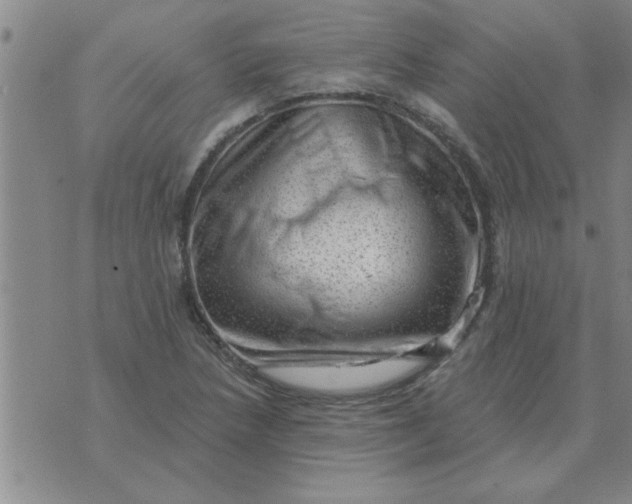 X0000074341218200609152113