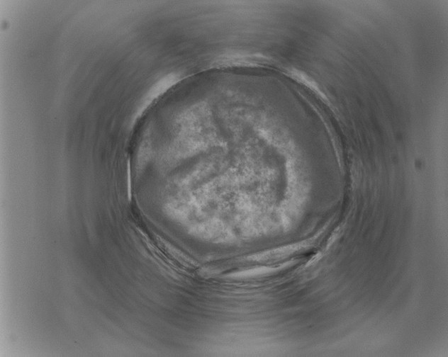 X0000074341219200609152113