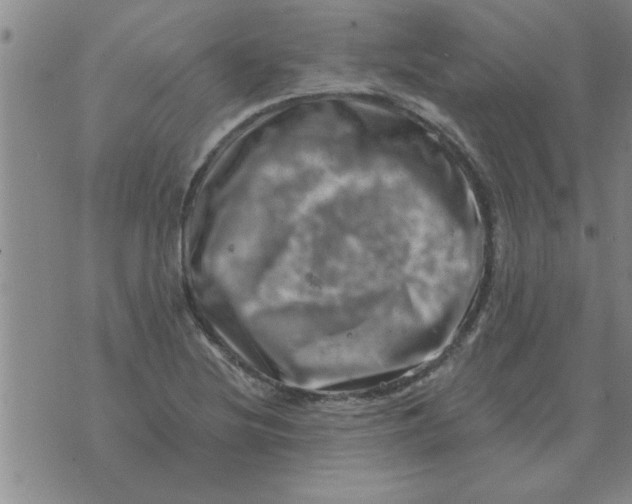 X0000074341220200609152114