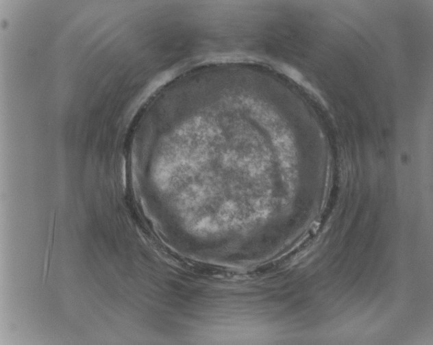 X0000074341221200609152114