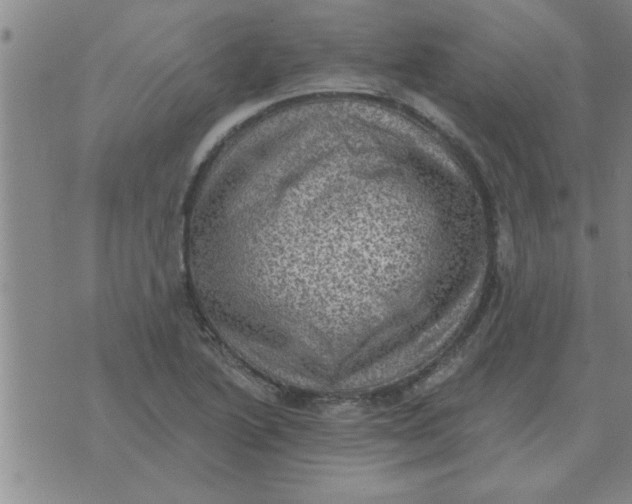 X0000074341222200609152114