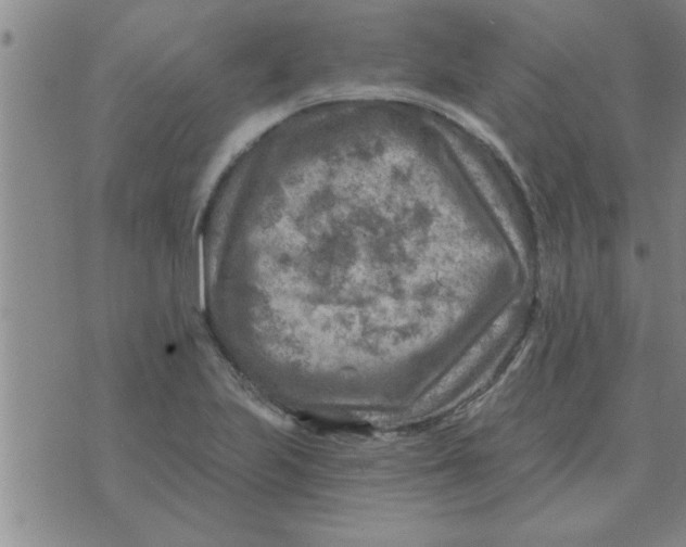 X0000074341223200609152114