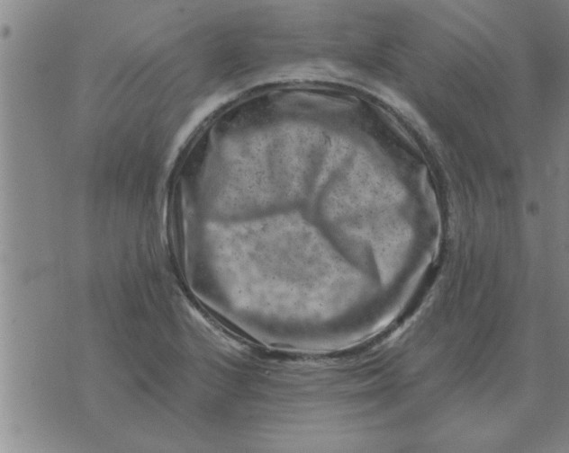 X0000074341224200609152114