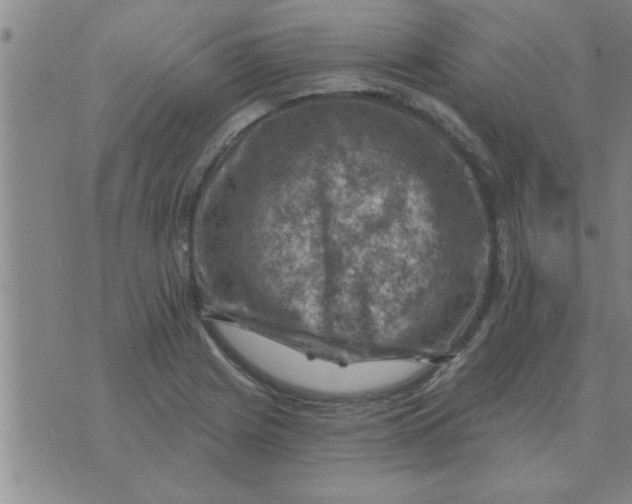 X0000074341225200609152114