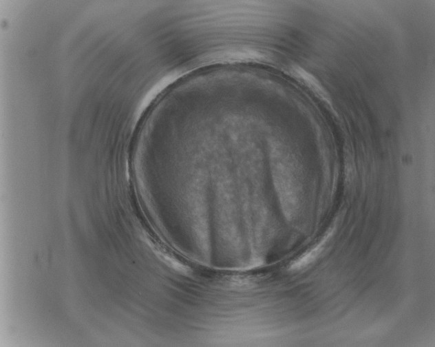 X0000074341226200609152114