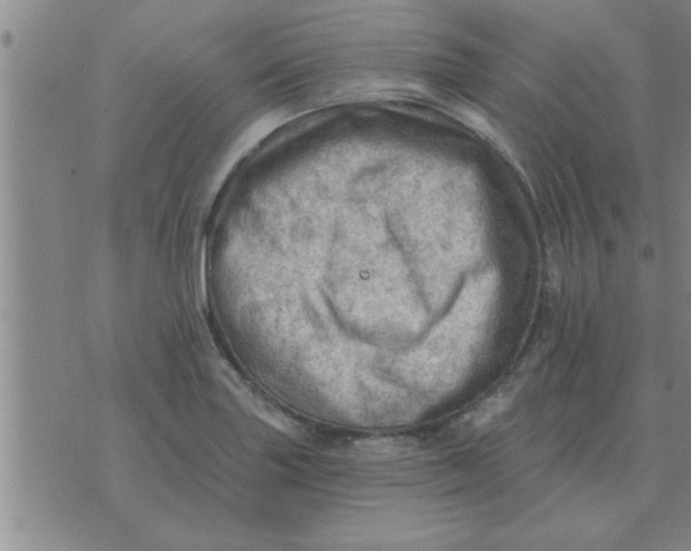 X0000074341227200609152114