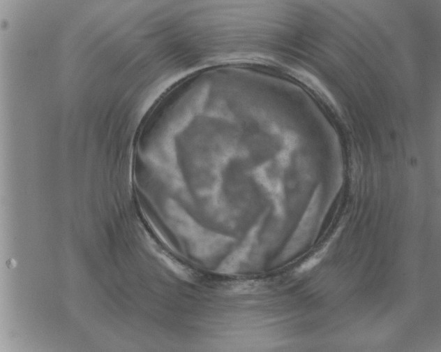 X0000074341228200609152114