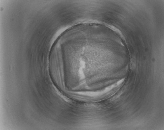 X0000074341231200609152114