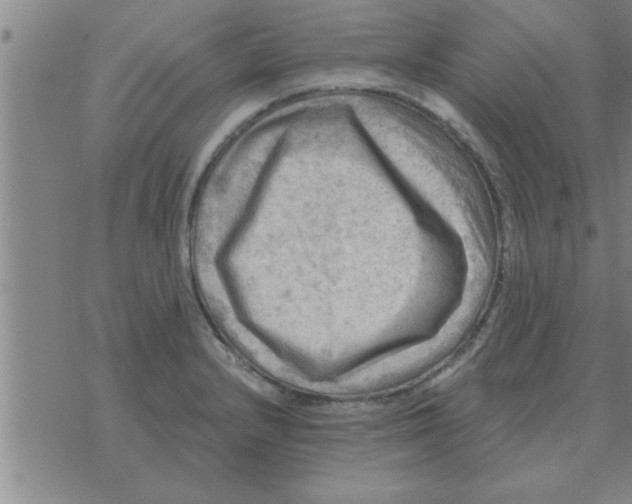 X0000074341232200609152114