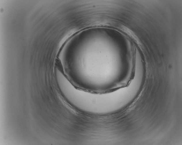 X0000074341234200609152114