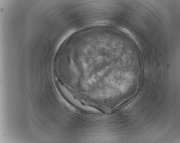 X0000074341235200609152114