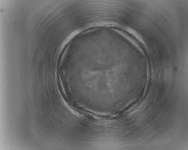 X0000074341237200609152114