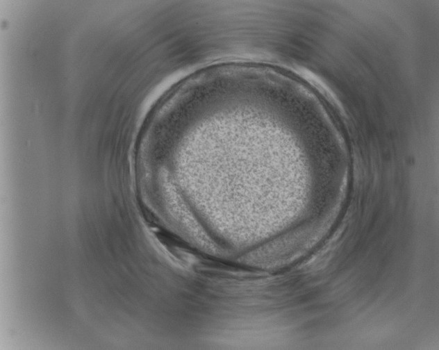 X0000074341238200609152114