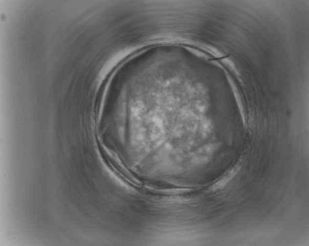 X0000074341239200609152114