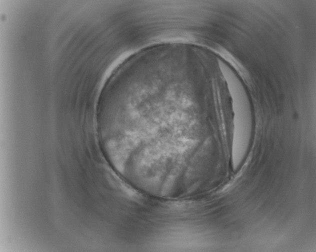 X0000074341240200609152114