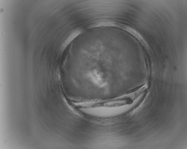 X0000074341241200609152114