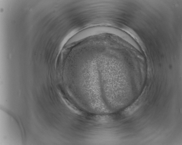 X0000074341242200609152114