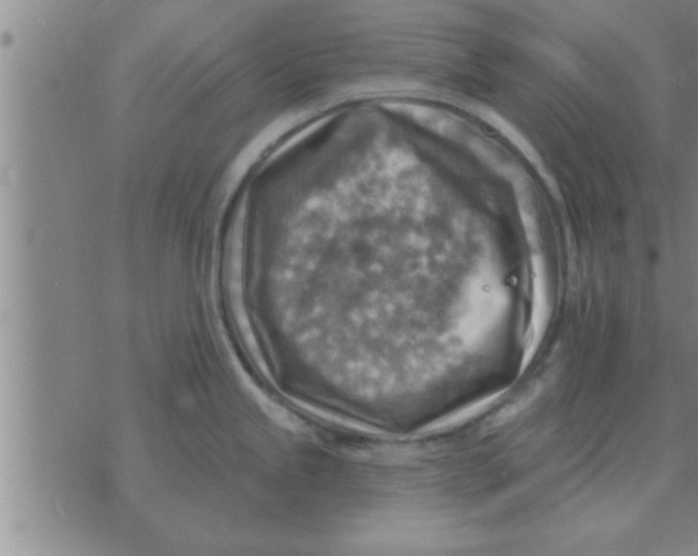 X0000074341245200609152114