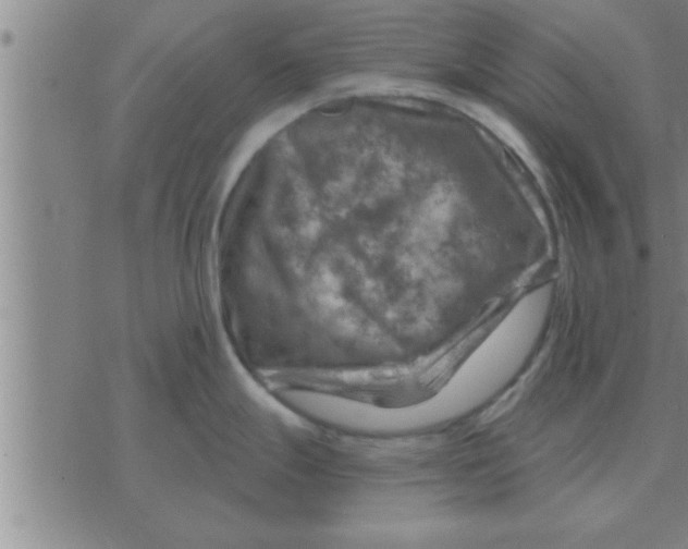 X0000074341247200609152114