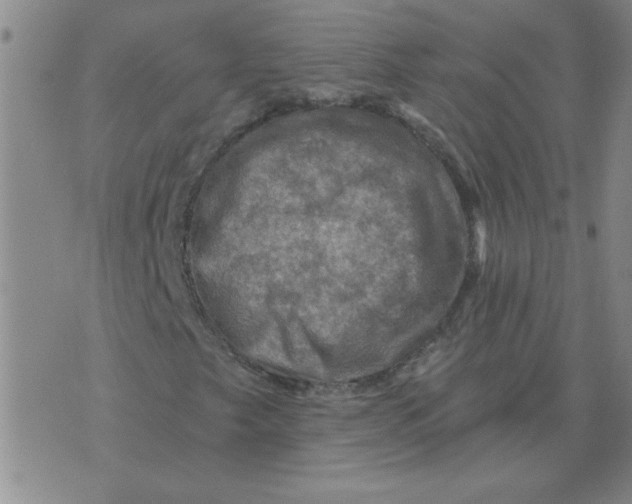 X0000074341249200609152113