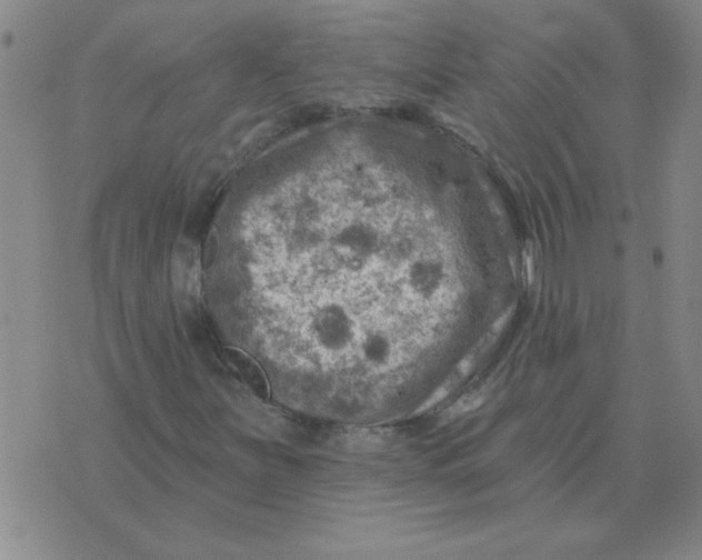 X0000074341251200609152113