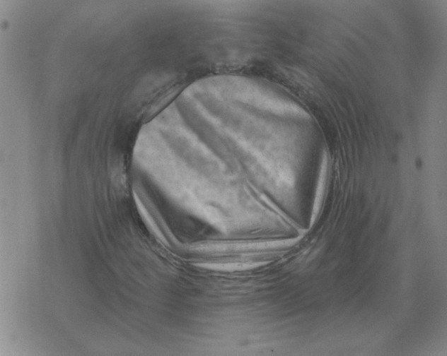 X0000074341252200609152113