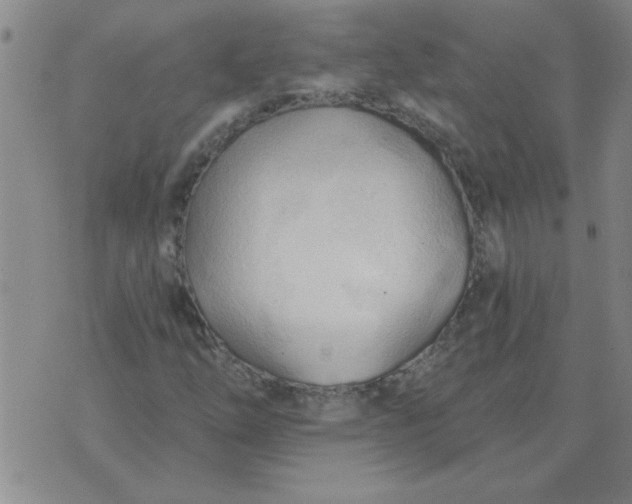 X0000074341254200609152113