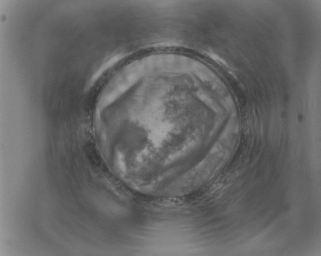 X0000074341255200609152113