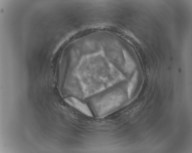 X0000074341256200609152113