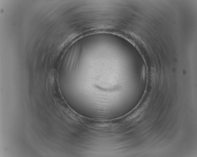 X0000074341257200609152113