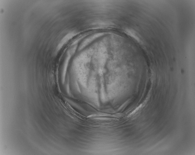 X0000074341259200609152113