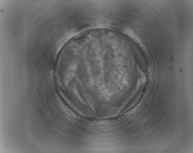 X0000074341260200609152113