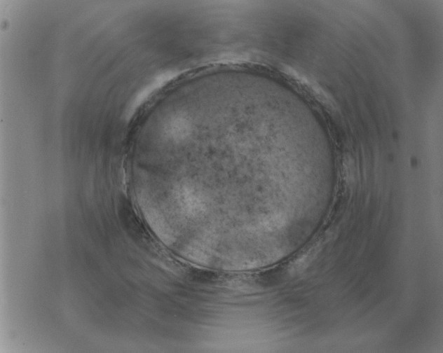 X0000074341262200609152113