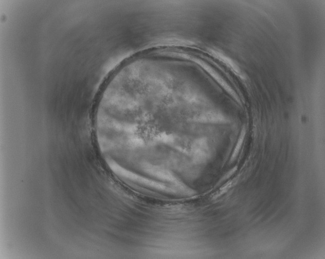 X0000074341264200609152113