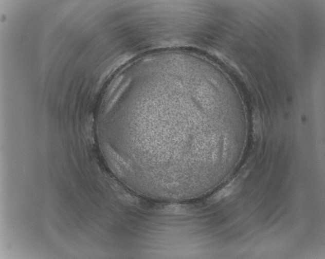 X0000074341265200609152113