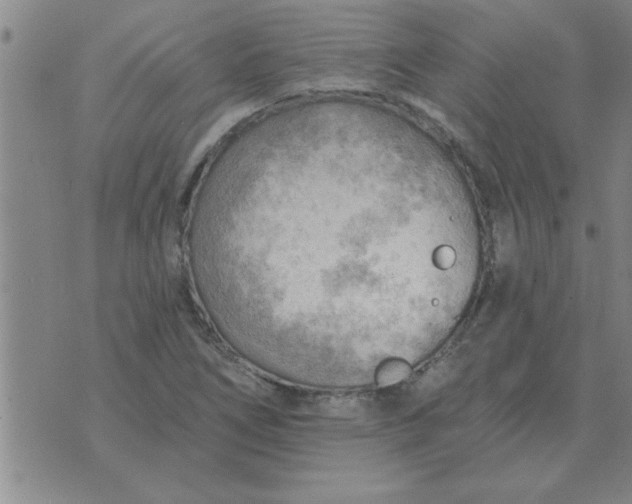 X0000074341266200609152113