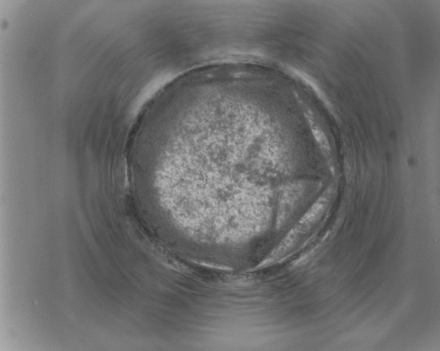 X0000074341267200609152113