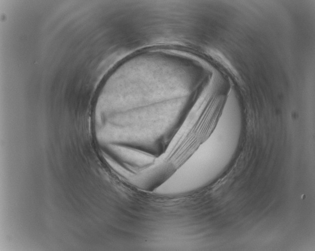 X0000074341268200609152113