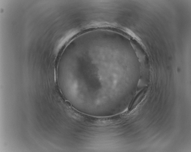 X0000074341269200609152113